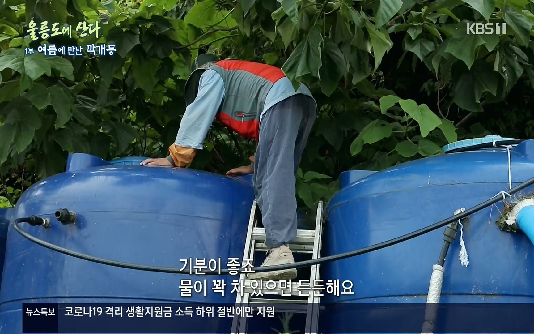 다큐울릉도에산다.E01.220909p.H264-F1RST.mp4_20220912_180552.420.jpg