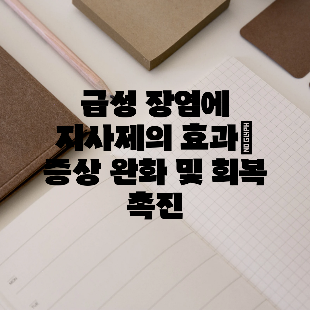 급성 장염에 지사제의 효과 증상 완화 및 회복 촉진