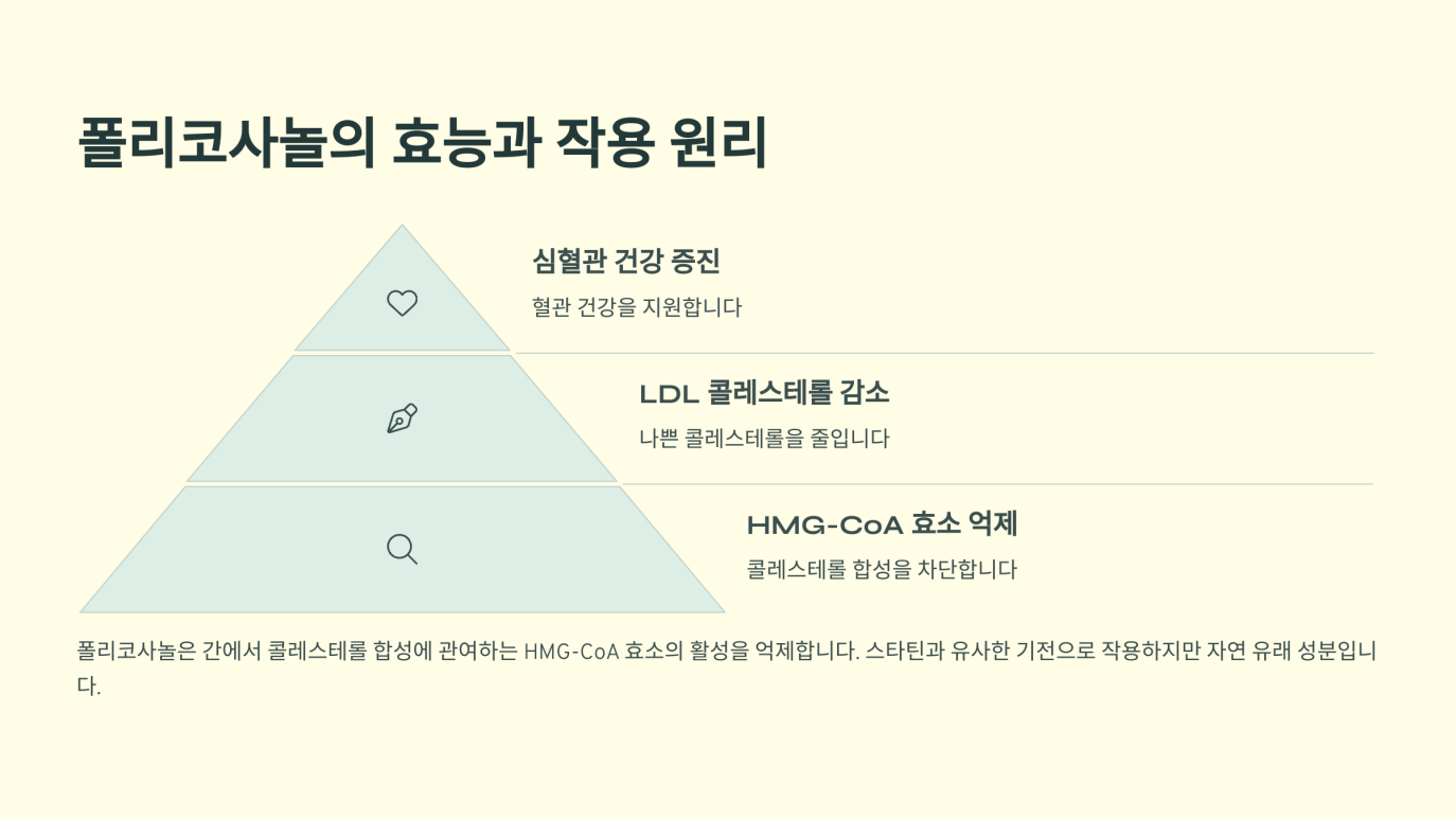 폴리코사놀 부작용 3