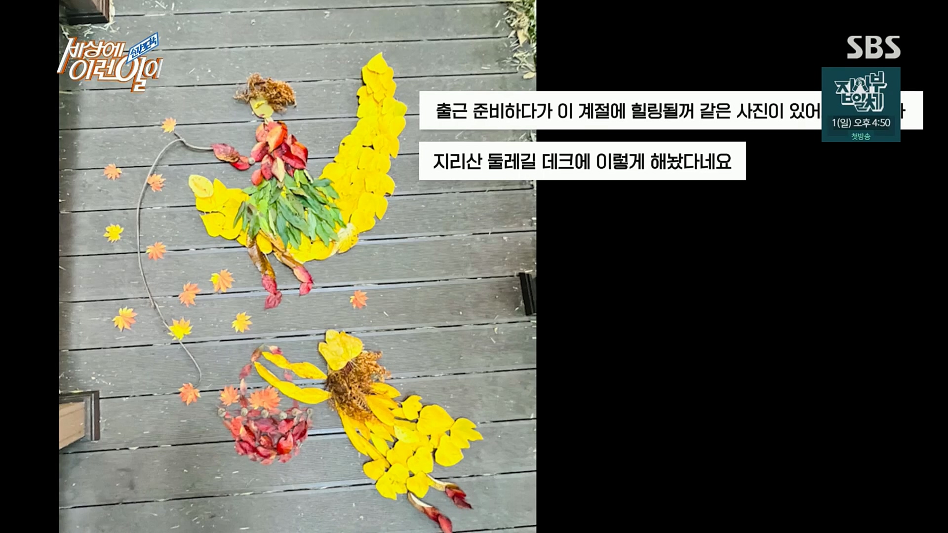 순간포착 세상에 이런일이.E1211.221227p.H264-F1RST.mp4_20221228_195147.853.jpg