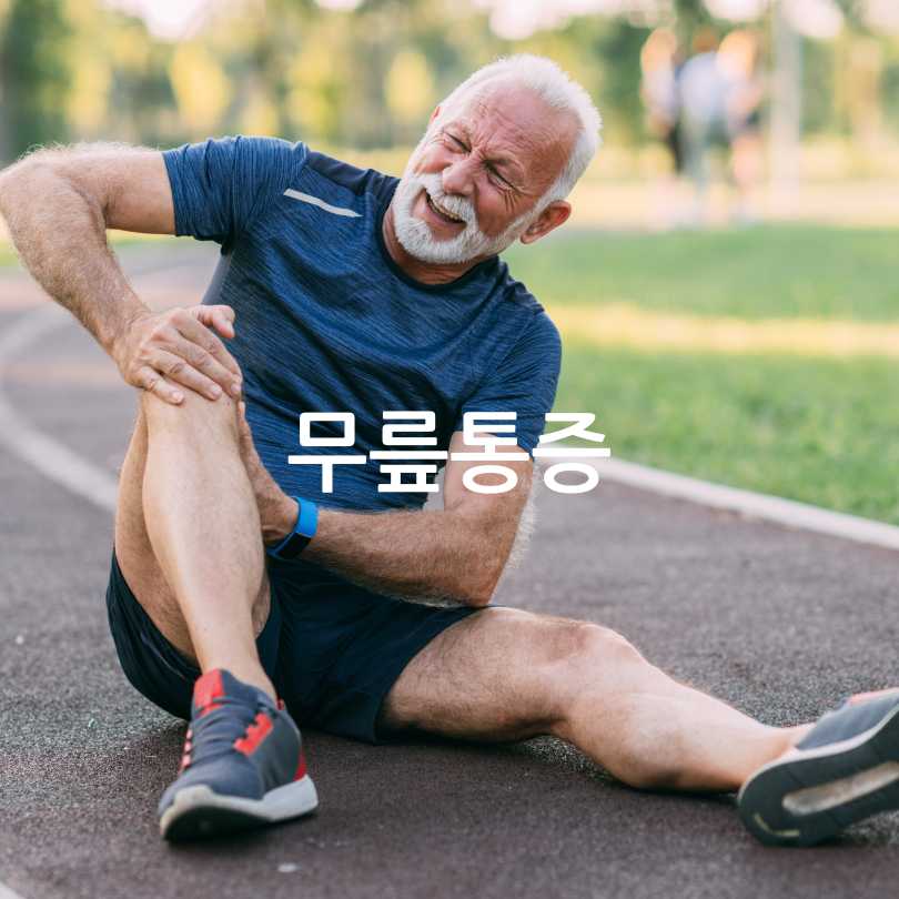 관절영양제