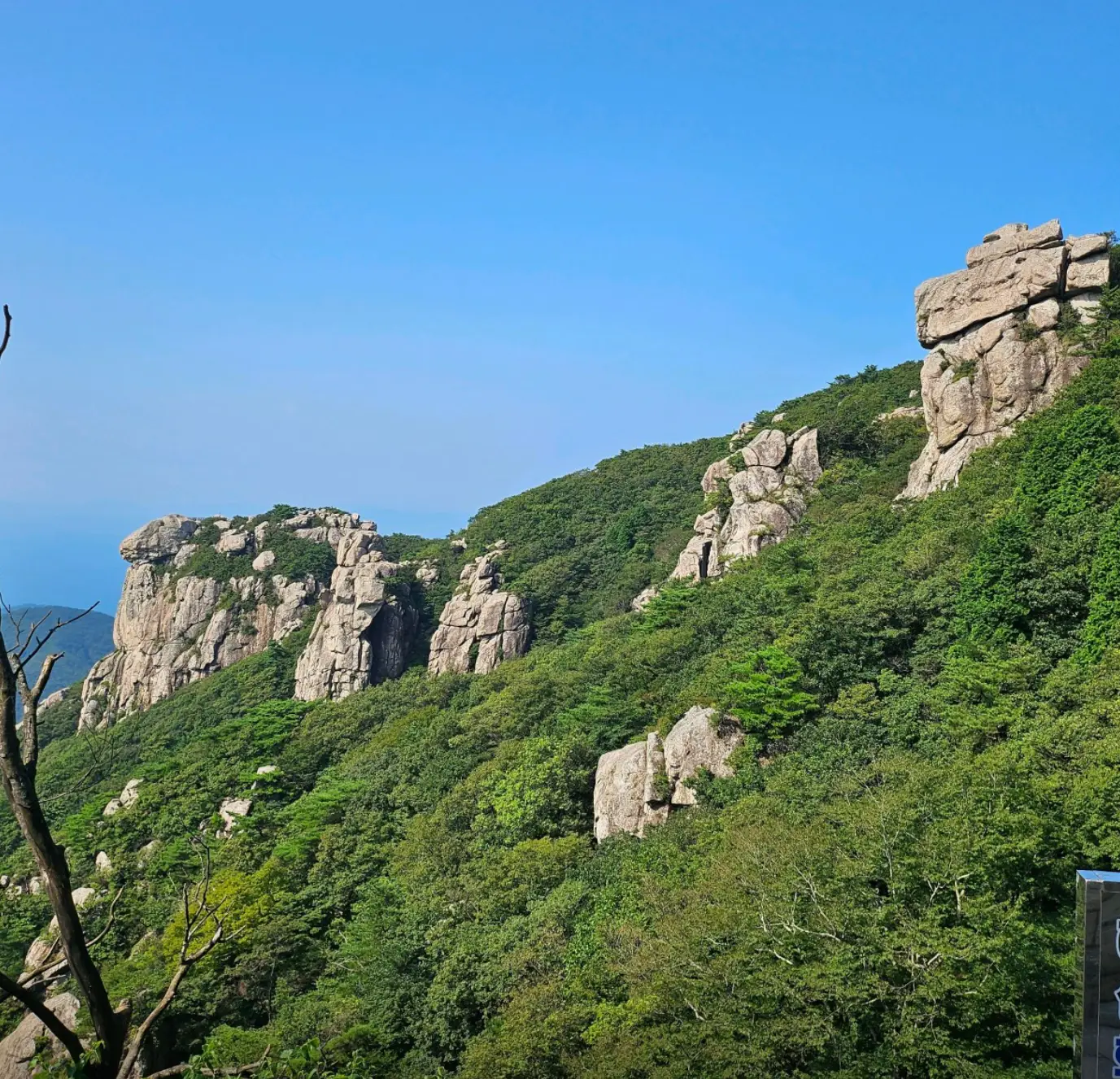 사진17