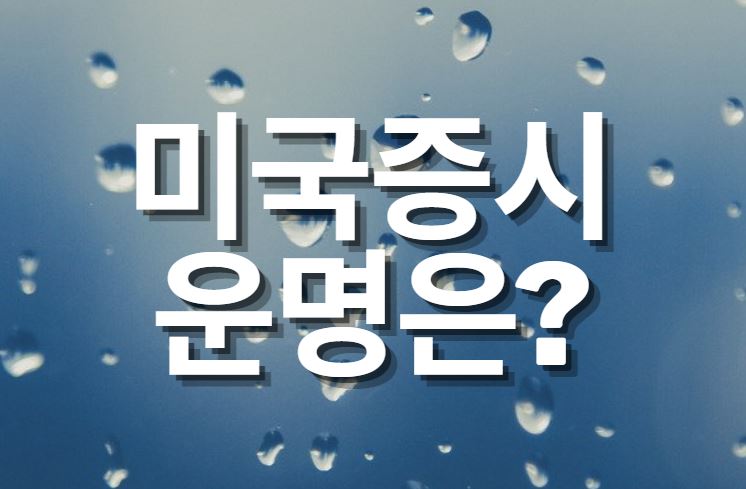  미국증시,  국제 금값, 테슬라 주가의 운명은?