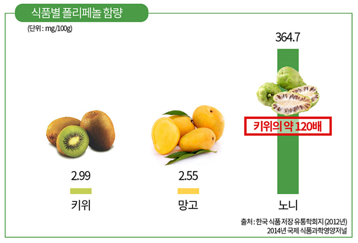  노니추출물(Morinda Citrifolia Extract) - 천연 항산화제
