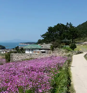 청산도 마을