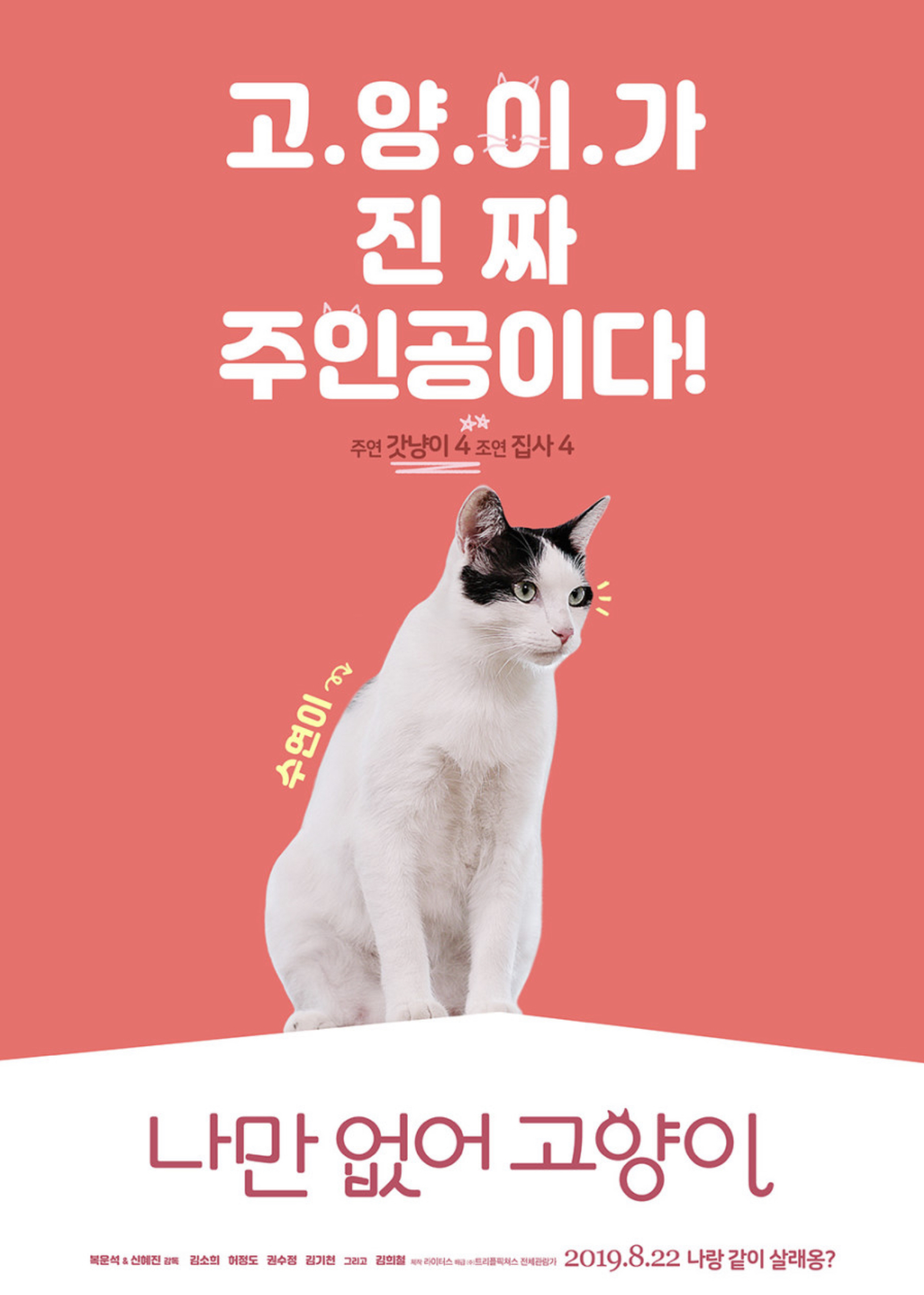 나만 없어 고양이 수연이