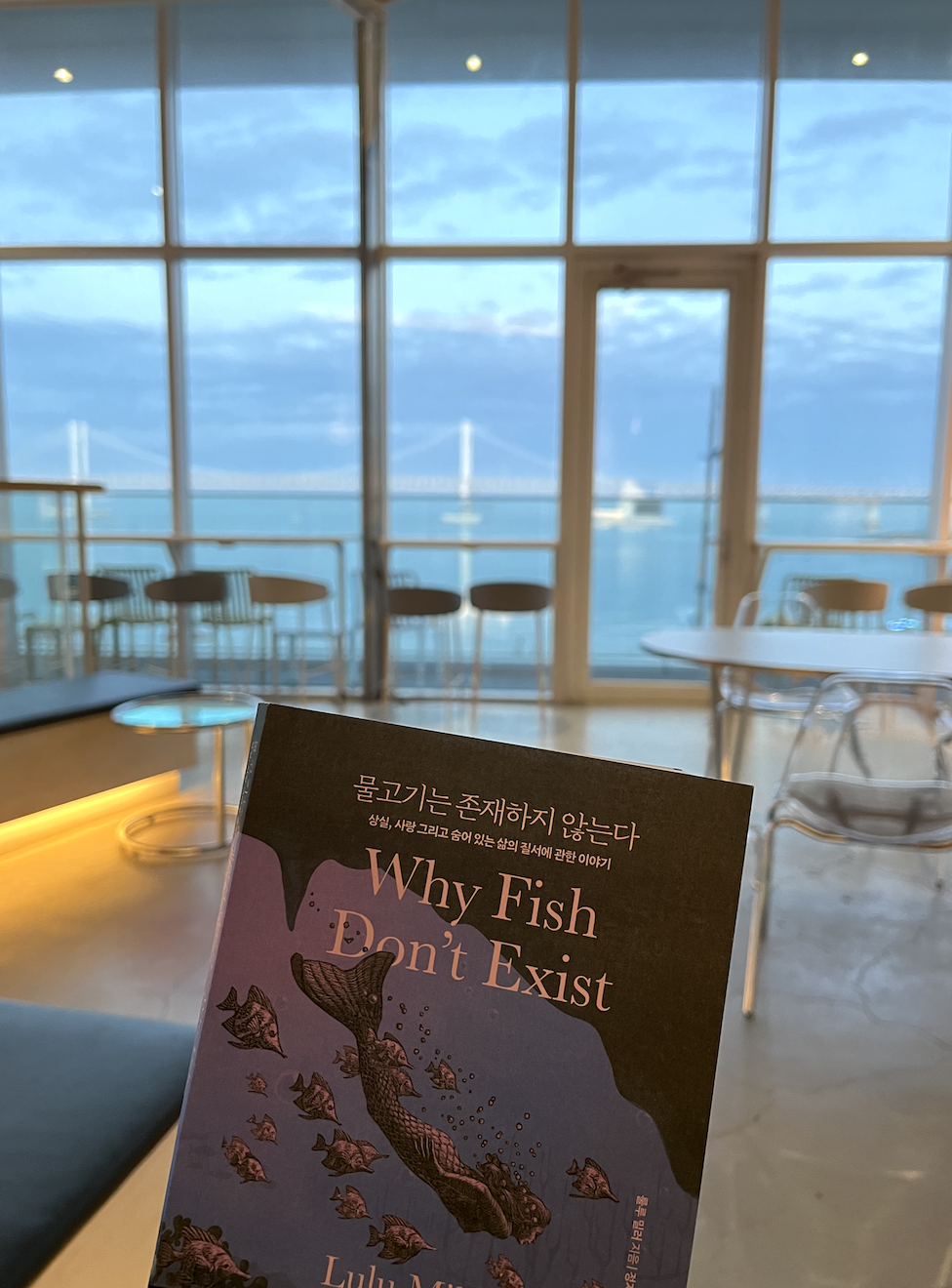 책 &amp;#39;물고기는 존재하지 않는다&amp;#39; (Why Fish Don&amp;#39;t Exist) 표지. 배경으로는 광안리 바다가 있다. 