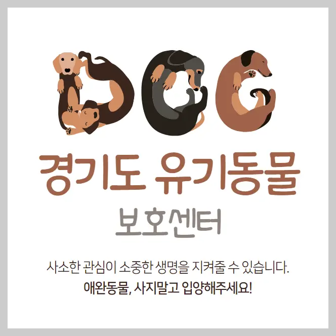 경기도-유기동물보호센터-강아지-고양이-유기-동물-보호소