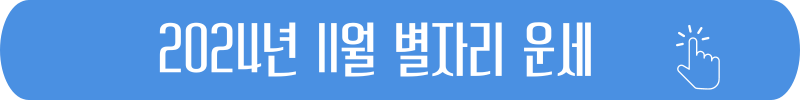 염소자리 2024년 11월 별자리 운세