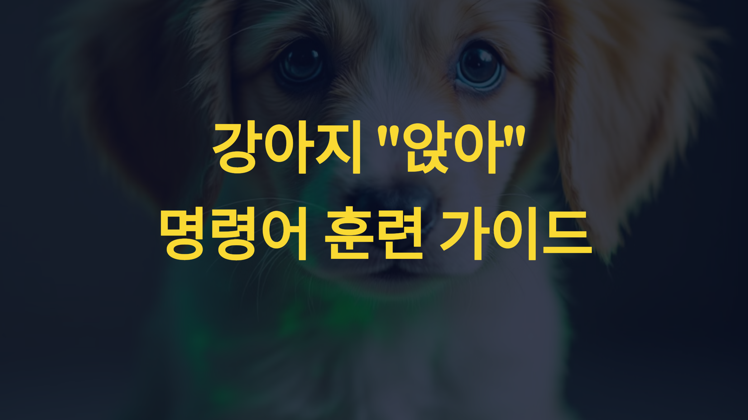 강아지가 &quot;앉아&quot; 명령어를 무시할 때 훈련법