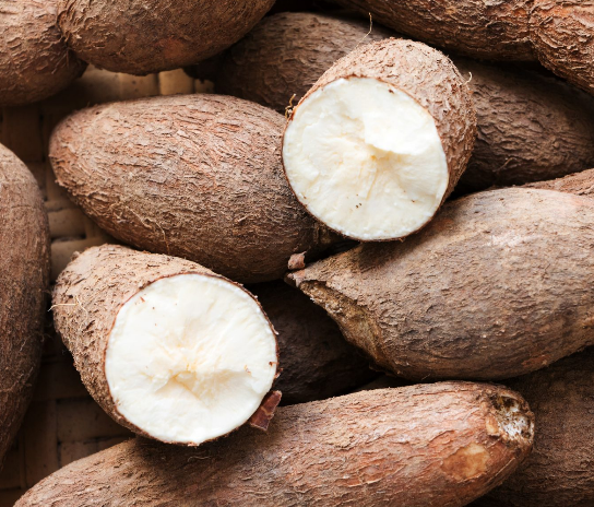  카사바 (CASSAVA) 효능 부작용 섭취법 알고 가세요.
