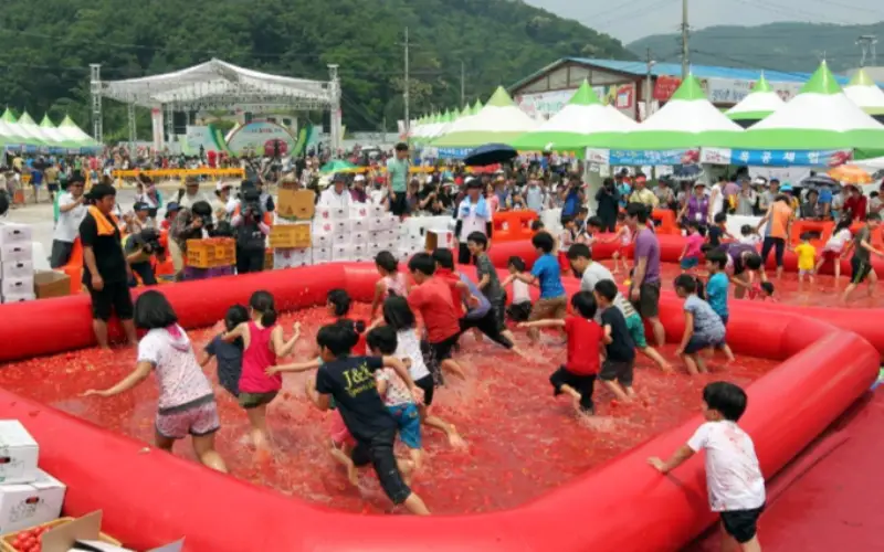 퇴촌 토마토 축제_20