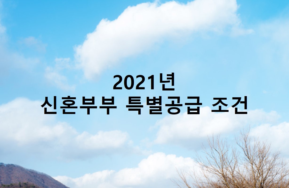  2021년 신혼부부 특별공급 조건