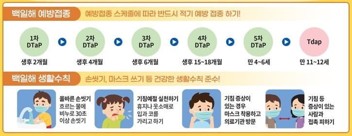 백일해-예방접종