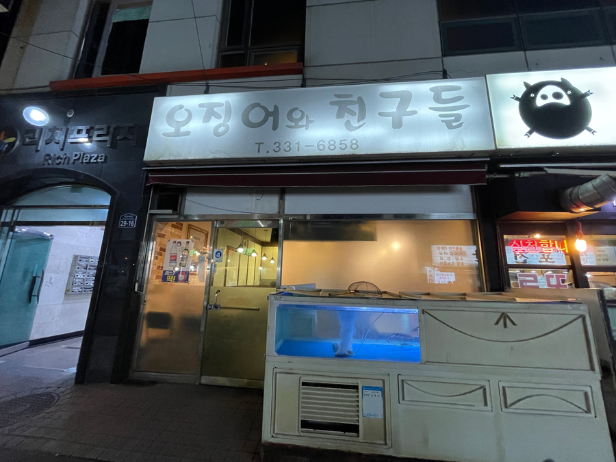 오징어와친구들 이미지