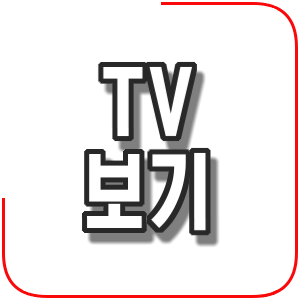  TV 보기