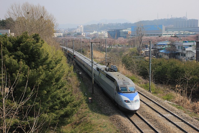 경주역 KTX 기차시간표 요금 예매방법 주차장 근처가볼만한곳 맛집