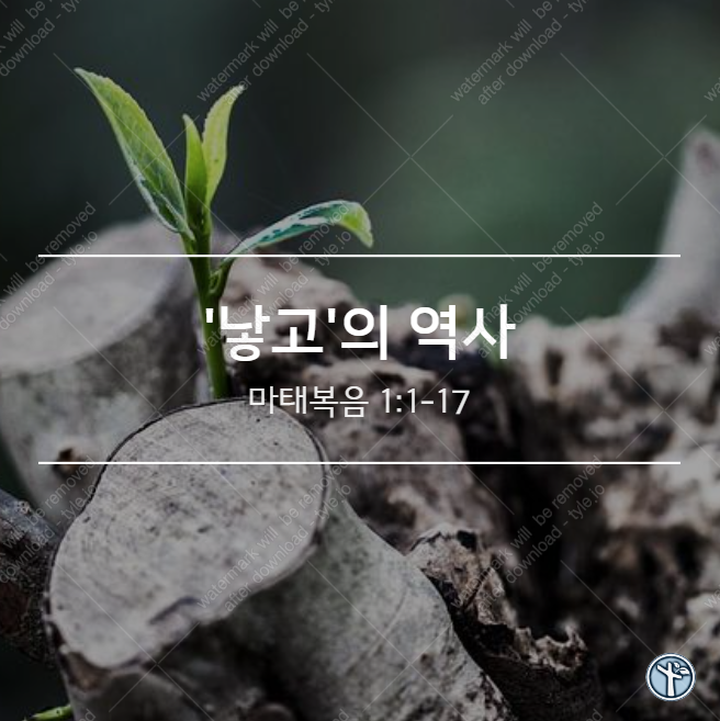  '낳고'의 역사