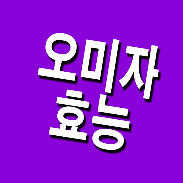  오미자 효능 총정리