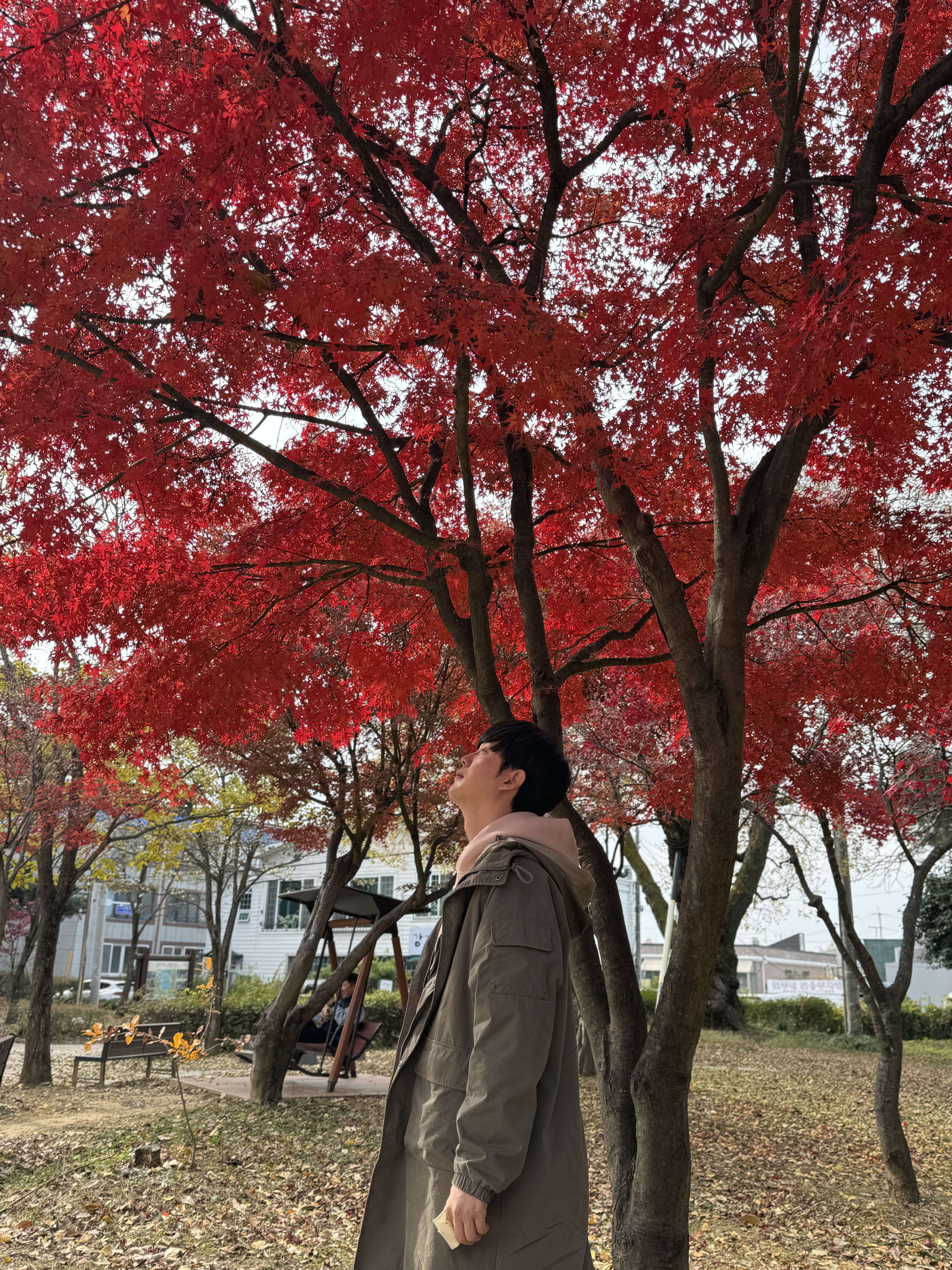  경남 진주 가볼만한곳 강주연못 연꽃명소 산책코스 강변공원