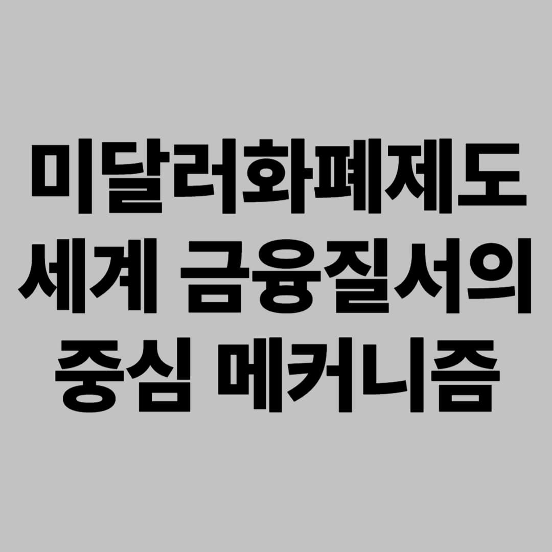 미달러화폐제도: 세계 금융질서의 중심 메커니즘