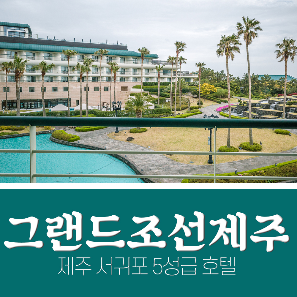  제주 서귀호 포텔 5성급 그랜드조선제주 풀사이드뷰 내돈내산 후기