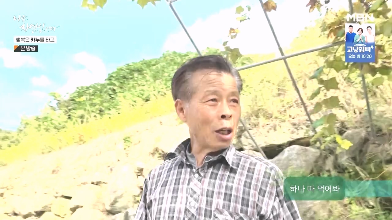 나는 자연인이다.E576.231019p-NEXT.mp4_20231019_201419.604.jpg