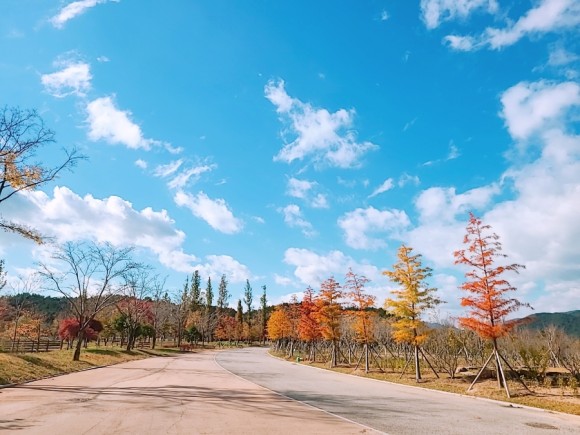 #부산 아이와가 볼만한 바다 운대수목원 19