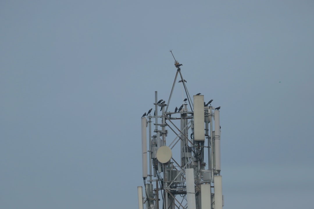 cellular