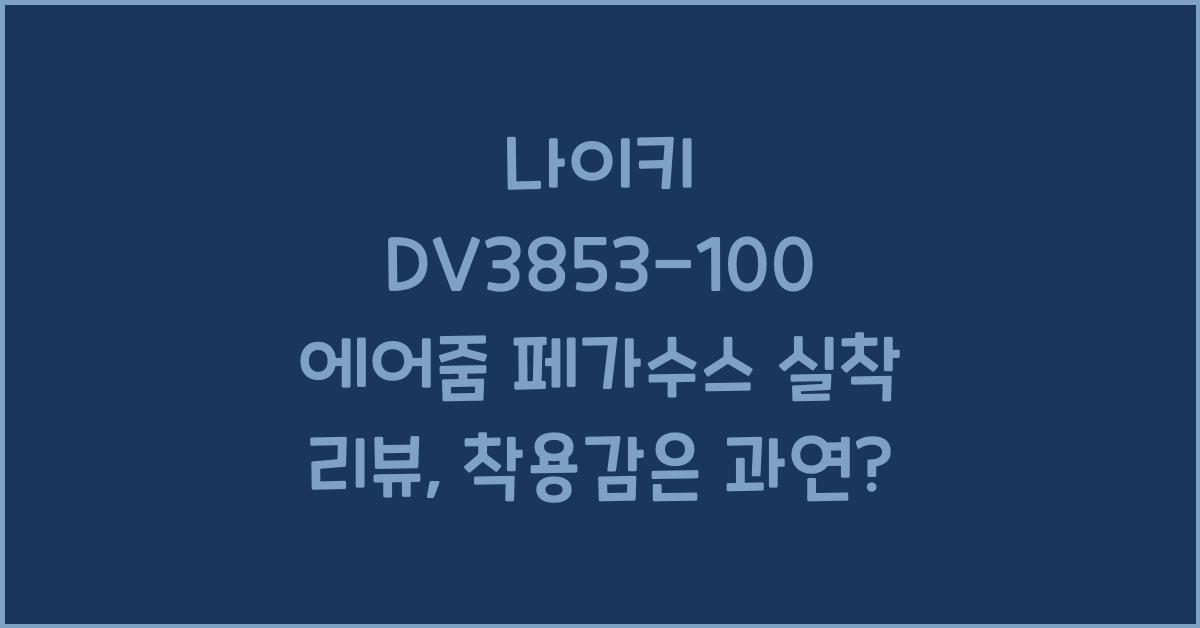 나이키 DV3853-100 에어줌 페가수스 실착 리뷰