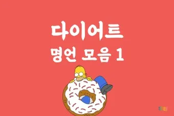 웃긴 명언 모음 웃긴 술명언 100선_14