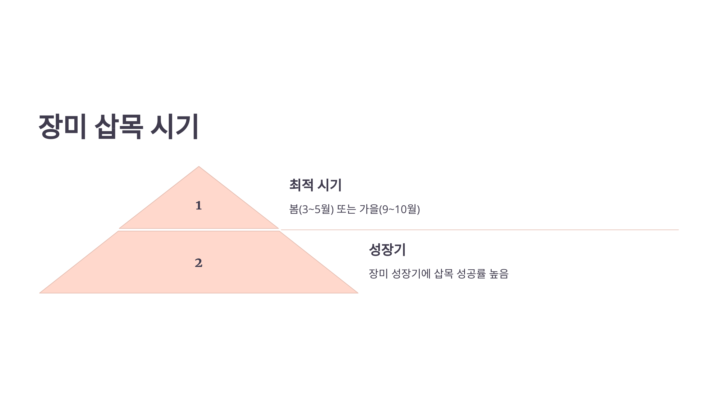 장미 사진입니다.