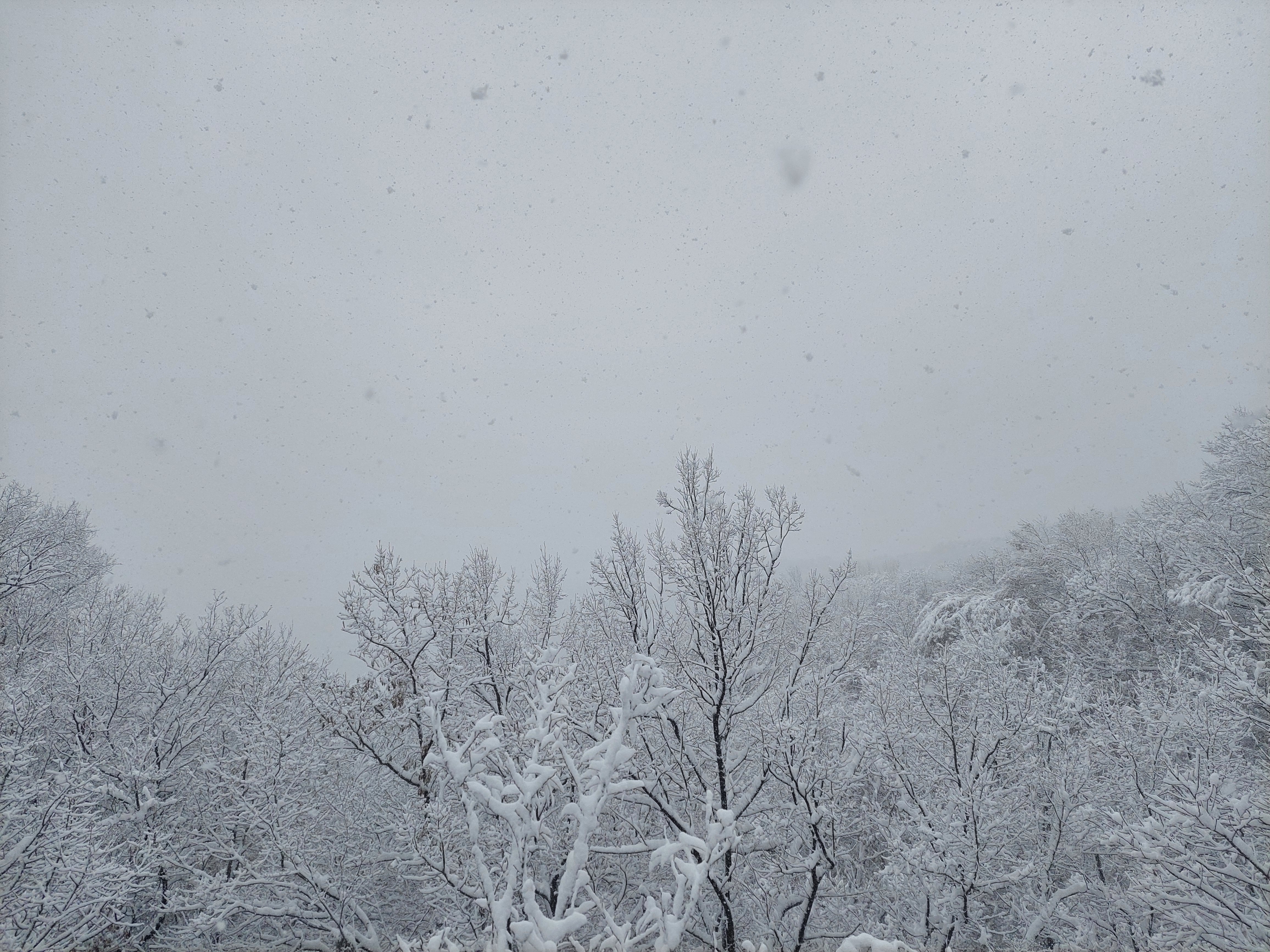 백련산안산