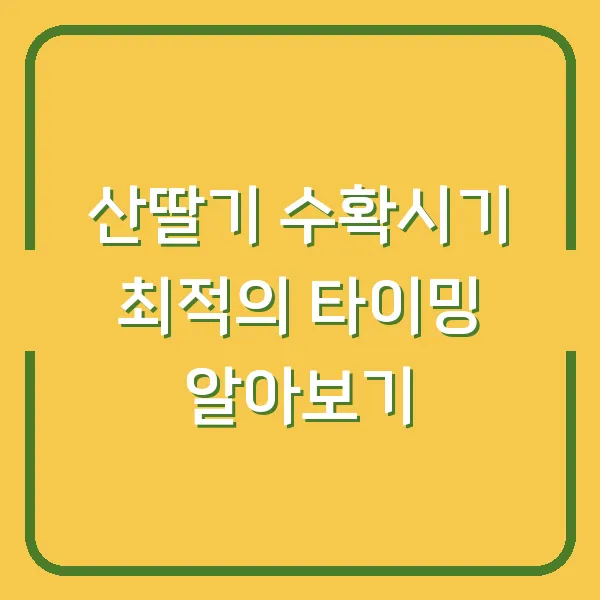산딸기 수확시기 최적의 타이밍 알아보기
