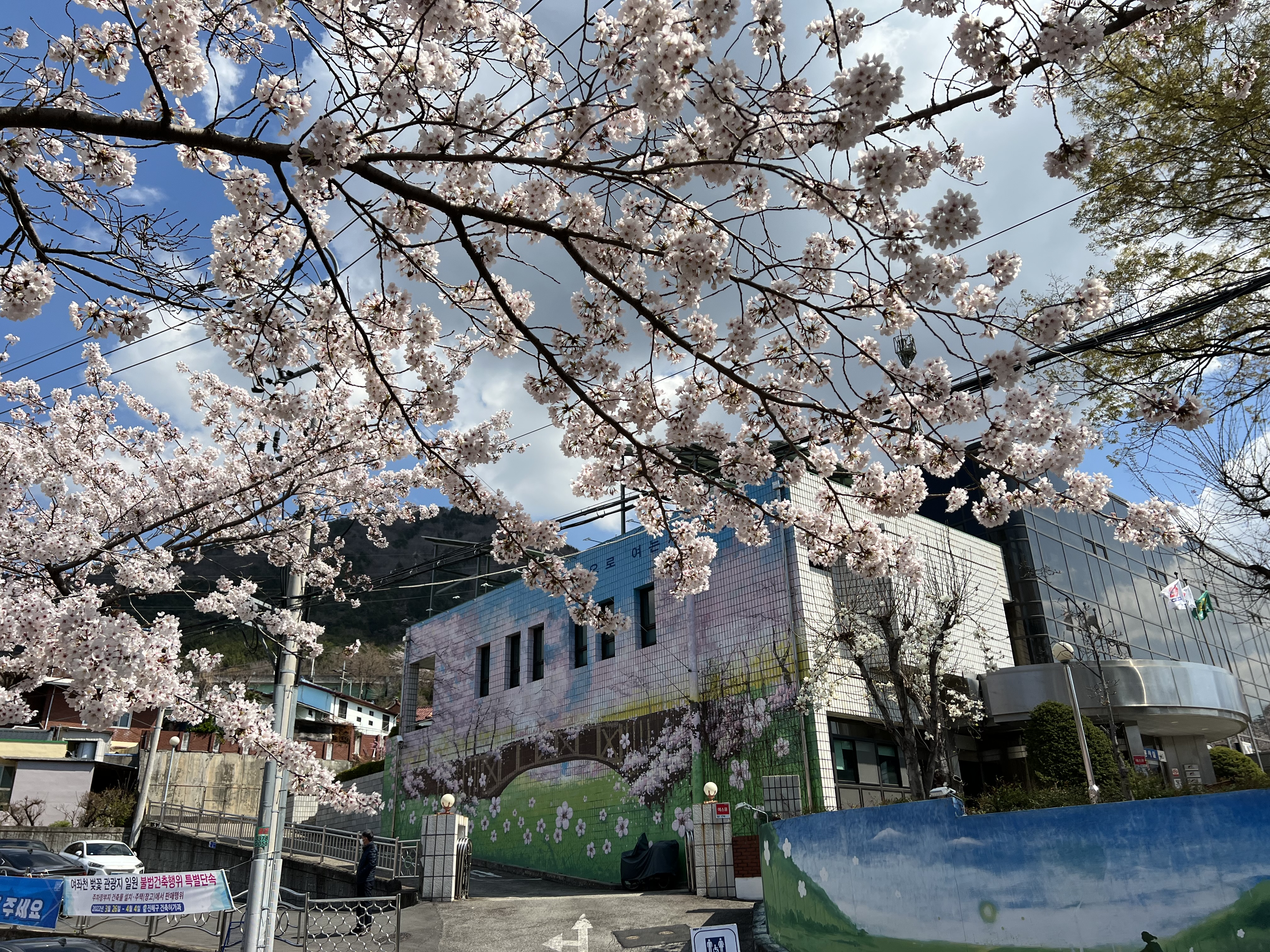 로망스다리에서 바라본 한전 진해지사
