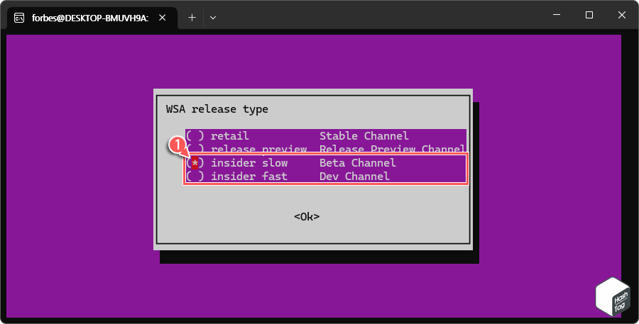WSA Release Type 선택 Beta or Dev Channel