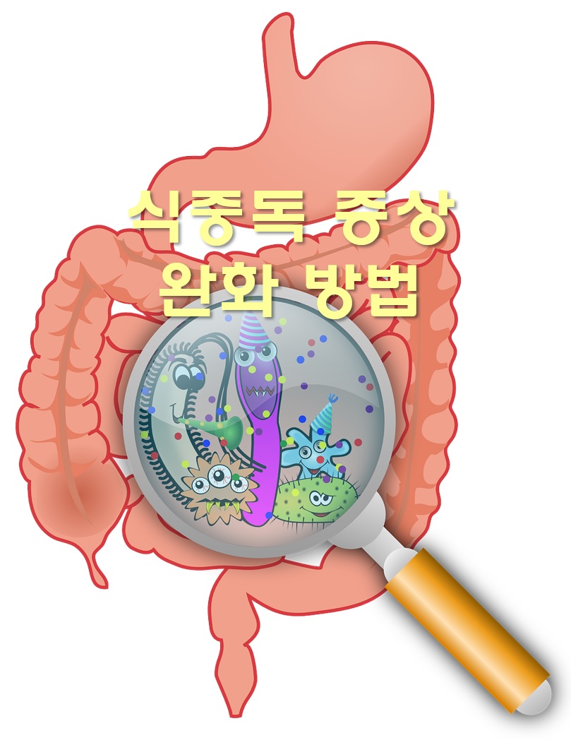  식중독 증상 완화 방법과 예방 3대 원칙