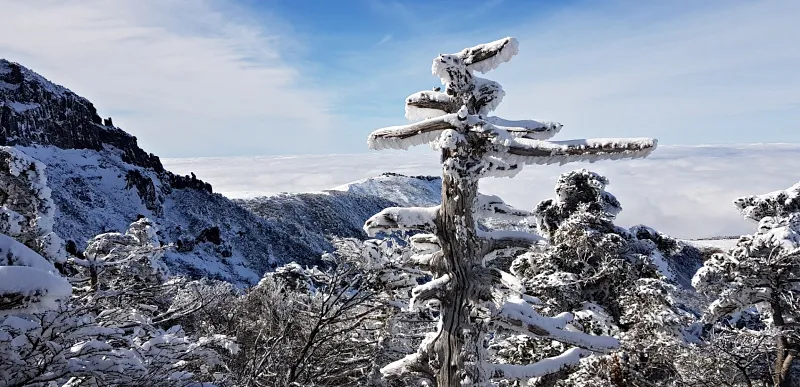 제주 한라산 설경 상고대