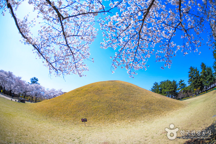 경주 가볼만한 곳 베스트 10 (2025 최신판)