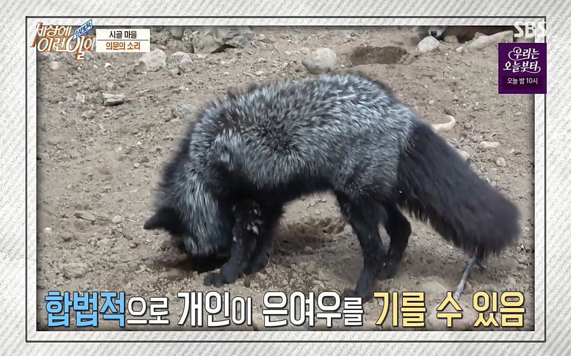 순간포착 세상에 이런일이.E1179.220511p-NEXT.mp4_20220511_173139.595.jpg