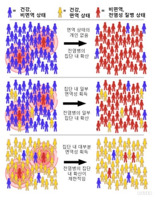 집단 면역이란 무엇인가? 코로나 바이러스와 영국 스페인의 집단 면역실험