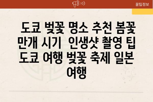  도쿄 벚꽃 명소 추천 봄꽃 만개 시기  인생샷 촬영 팁  도쿄 여행 벚꽃 축제 일본 여행