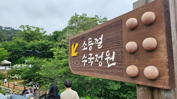 김해 수안마을 수국축제 후기