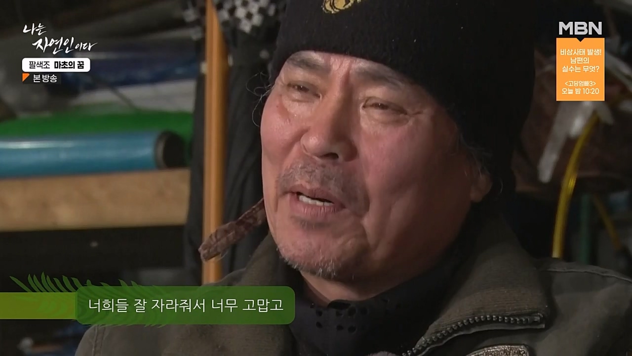 나는 자연인이다.E544.230309p-NEXT.mp4_20230309_191748.457.jpg