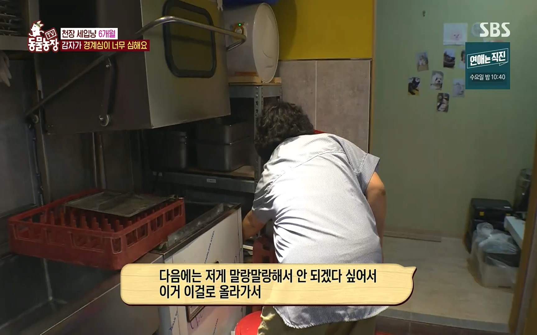 TV 동물농장.E1081.220807p.H264-F1RST.mp4_20220807_213621.686.jpg