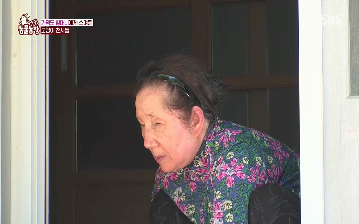 TV 동물농장.E1076.220704p.H264-F1RST.mp4_20220703_175607.979.jpg