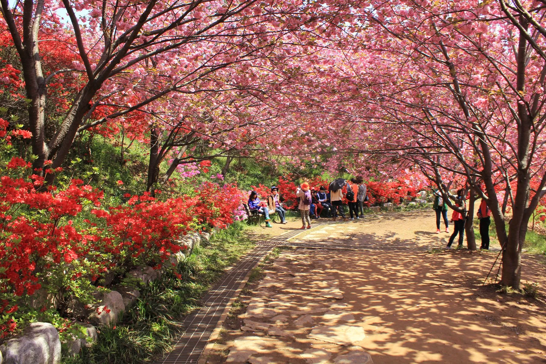 전주 완산칠봉 꽃동산 등산로 벙커 코스_7