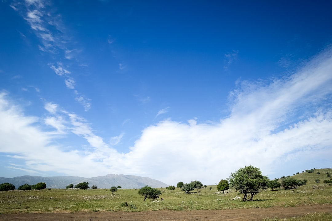 Field
