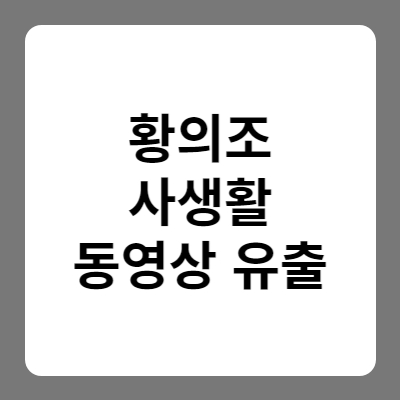 축구선수 황의조 사생활 동영상 유출 사건