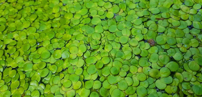 창원 비음산